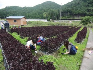 201306kumano_1